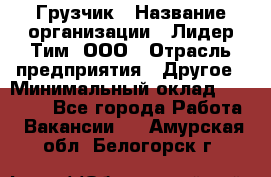 Грузчик › Название организации ­ Лидер Тим, ООО › Отрасль предприятия ­ Другое › Минимальный оклад ­ 19 000 - Все города Работа » Вакансии   . Амурская обл.,Белогорск г.